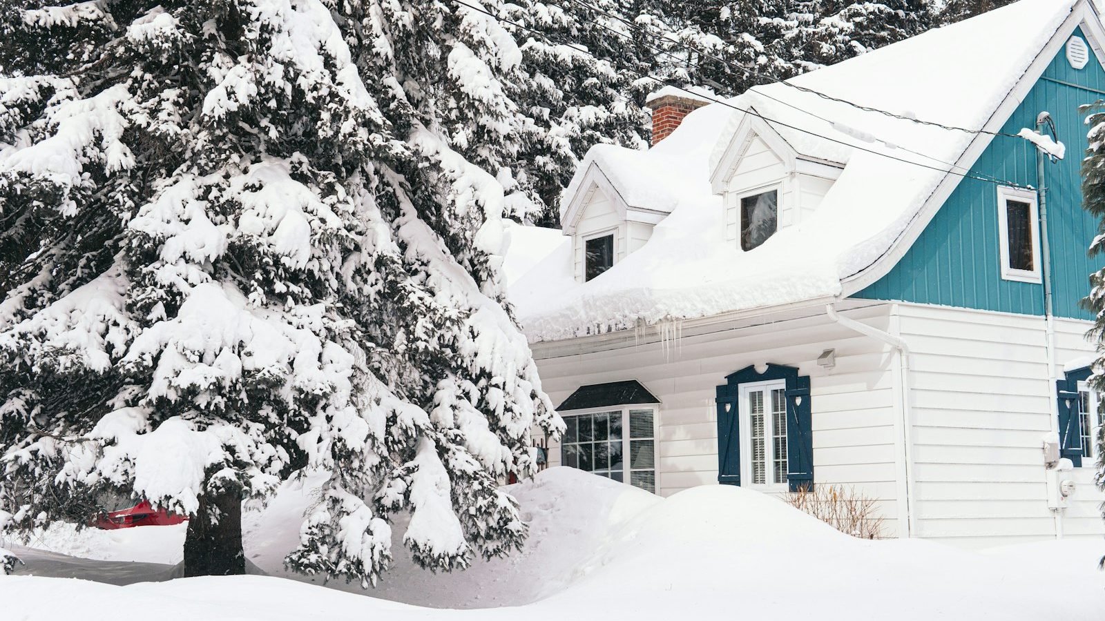 Brown house with snow-covered trees