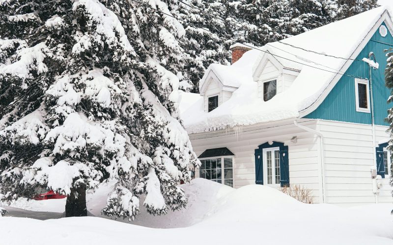 Brown house with snow-covered trees